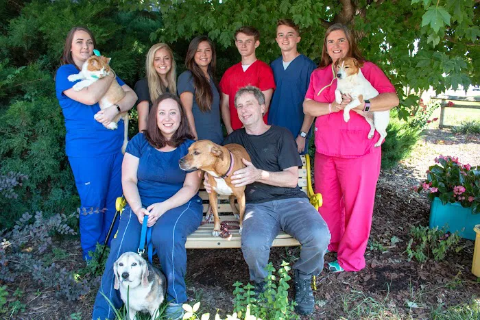 Meadow Brook Animal Clinic Picture 6