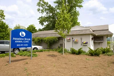Meadow Brook Animal Clinic Picture 5