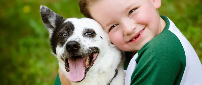 Meadow Brook Animal Clinic Picture 7