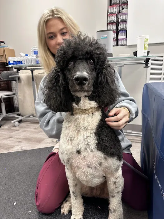 Well Being Medicine for Animals Picture 9