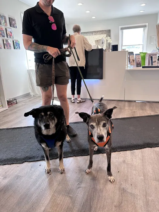 Well Being Medicine for Animals Picture 10