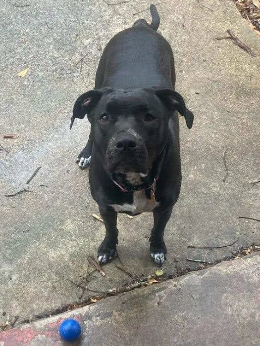 Oporto Animal Clinic Picture 1