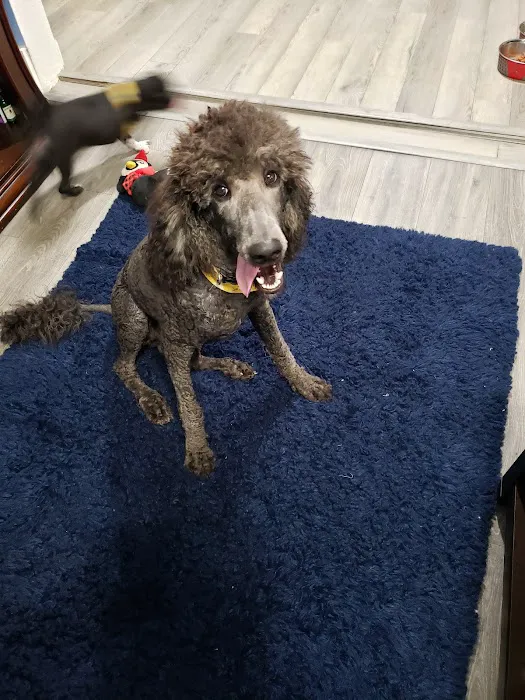 Oporto Animal Clinic Picture 3