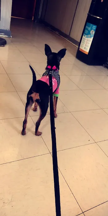 Oporto Animal Clinic Picture 9