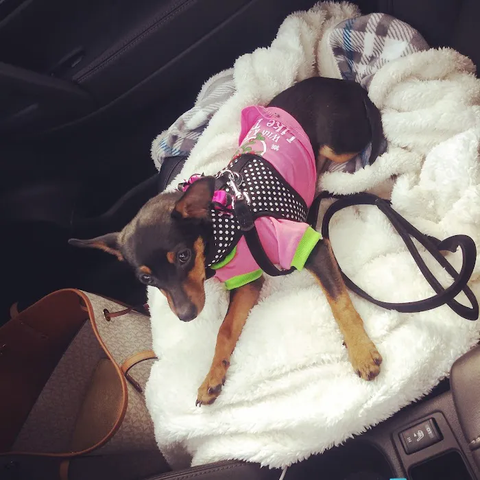 Oporto Animal Clinic Picture 10