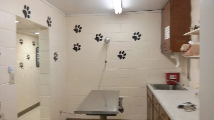 Oporto Animal Clinic Picture 8