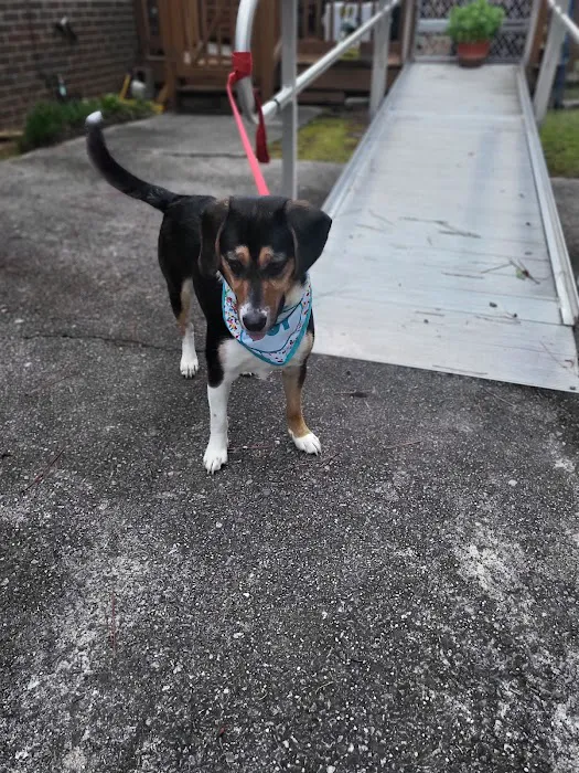 Oporto Animal Clinic Picture 6