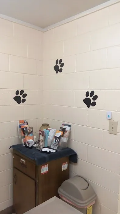 Oporto Animal Clinic Picture 7