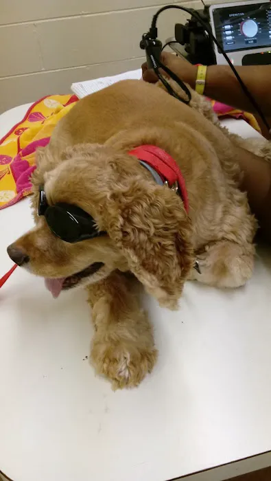 Oporto Animal Clinic Picture 4