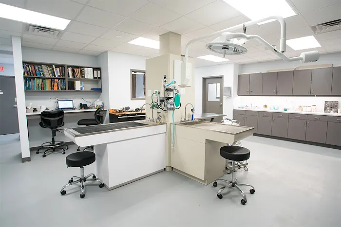 Avondale Animal Hospital Picture 7