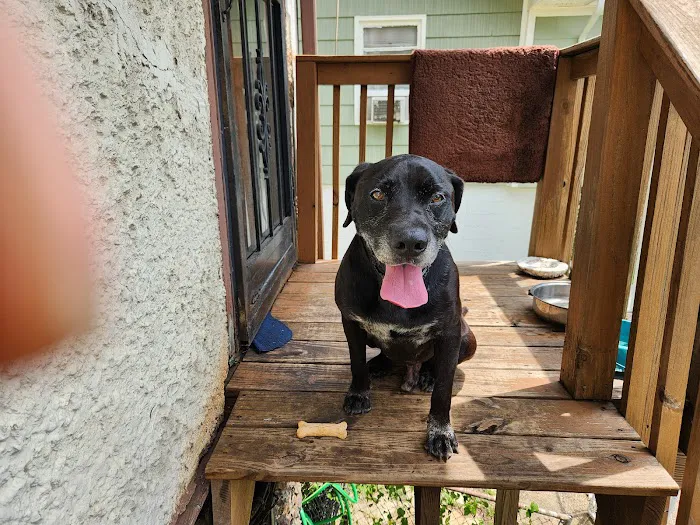 Avondale Animal Hospital Picture 5