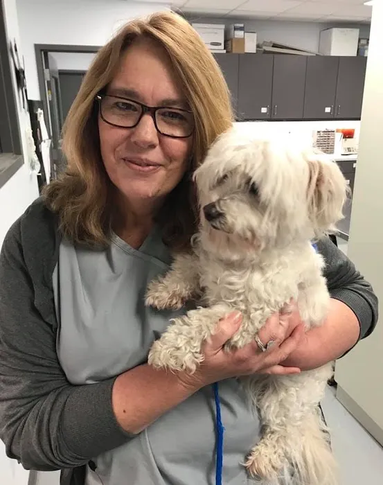 Avondale Animal Hospital Picture 10