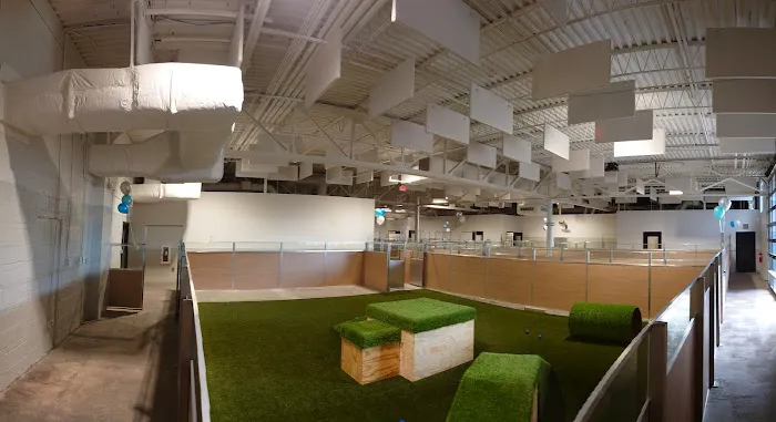 Birmingham Animal Hospital + Resort Picture 5