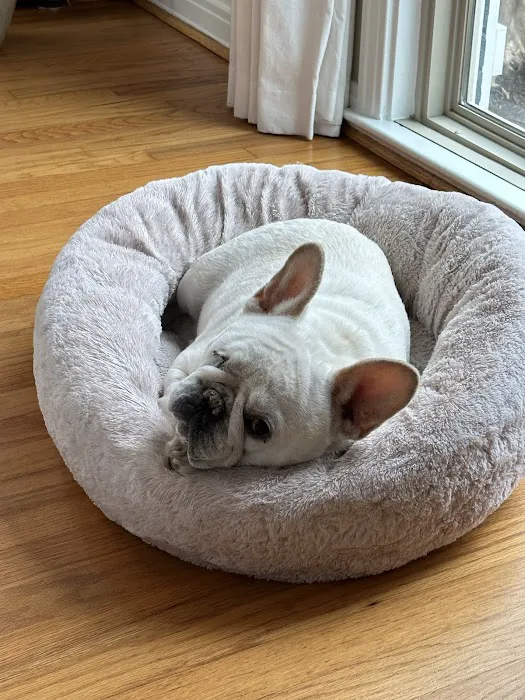 Birmingham Animal Hospital + Resort Picture 6