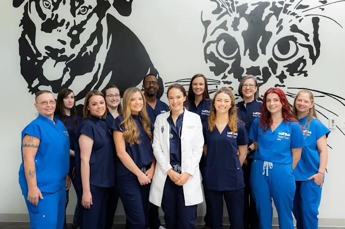 Birmingham Animal Hospital + Resort Picture 3