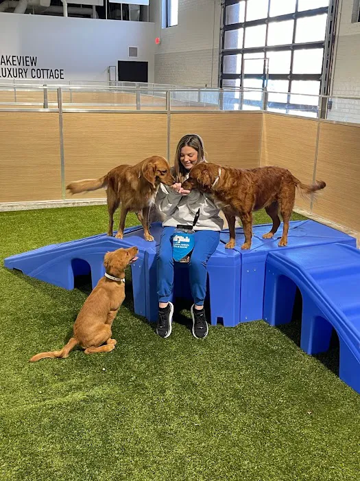 Birmingham Animal Hospital + Resort Picture 7