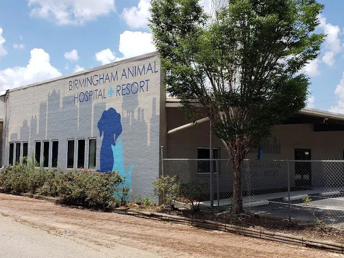 Birmingham Animal Hospital + Resort Picture 9