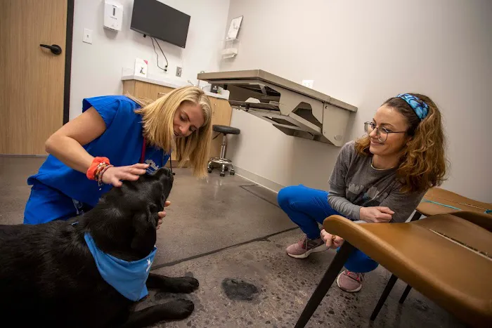 Birmingham Animal Hospital + Resort Picture 8