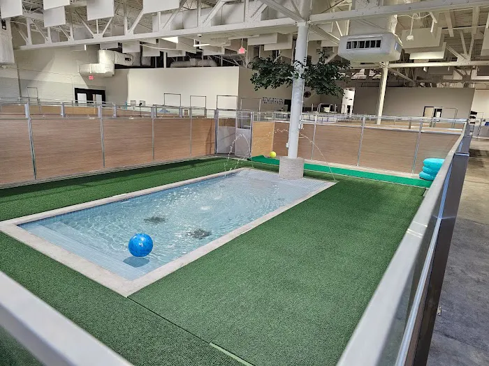 Birmingham Animal Hospital + Resort Picture 10