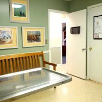 Hoke Animal Clinic ico