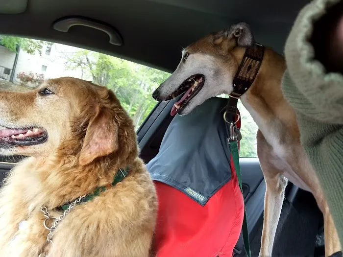 Hoke Animal Clinic Picture 3