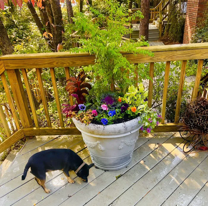 Hoke Animal Clinic Picture 5