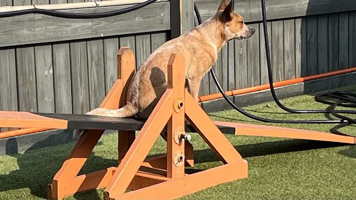 Hoke Animal Clinic Picture 7