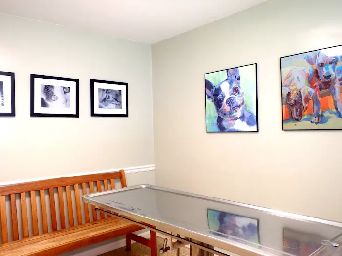 Hoke Animal Clinic Picture 10