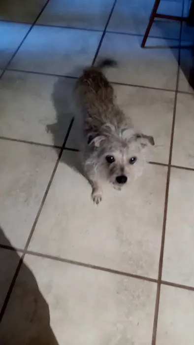 Montclair Animal Clinic Picture 1