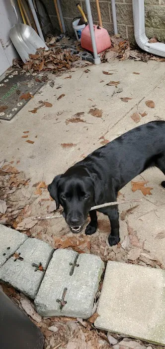 Montclair Animal Clinic Picture 3