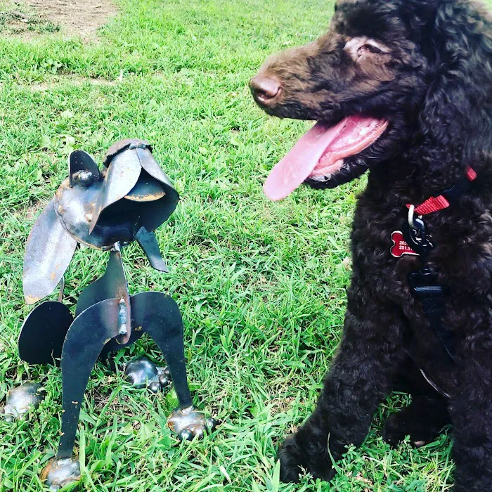 Montclair Animal Clinic Picture 6