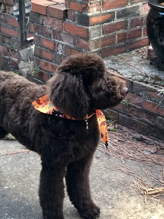 Montclair Animal Clinic Picture 9