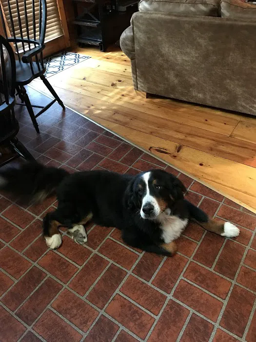 Animal Hospital-Walker Co Inc Picture 4