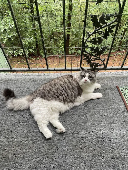 Animal Hospital-Walker Co Inc Picture 5