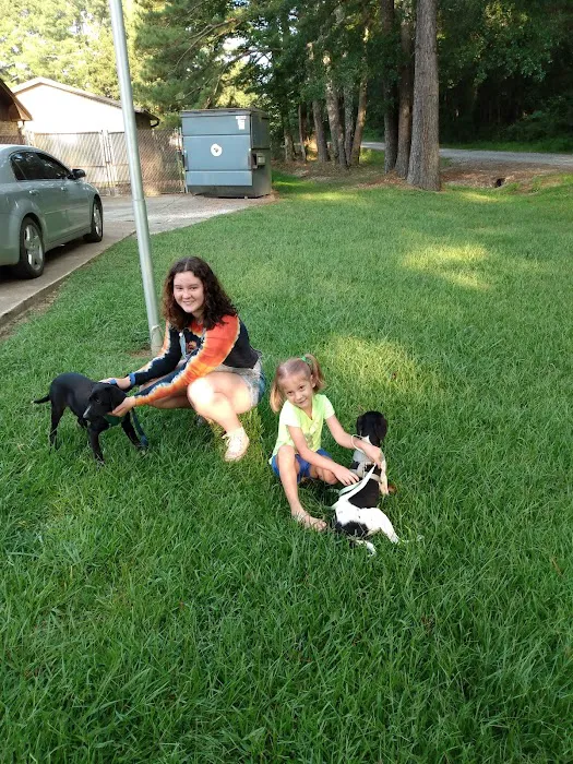 Animal Hospital-Walker Co Inc Picture 10