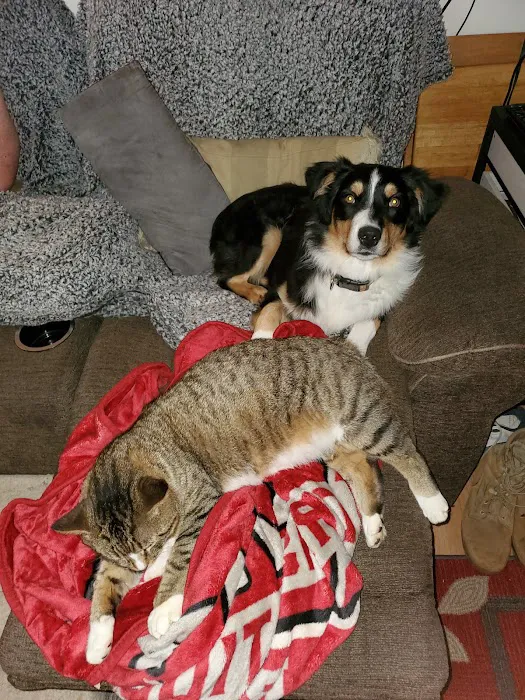 Animal Hospital-Walker Co Inc Picture 9