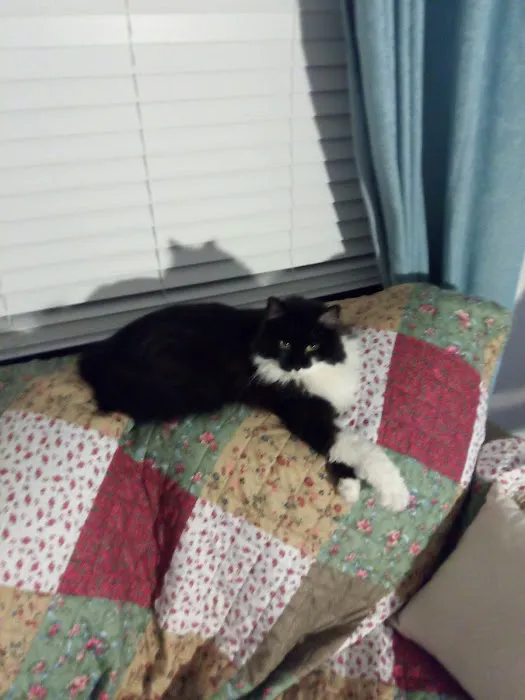 Animal General Inc. Picture 1