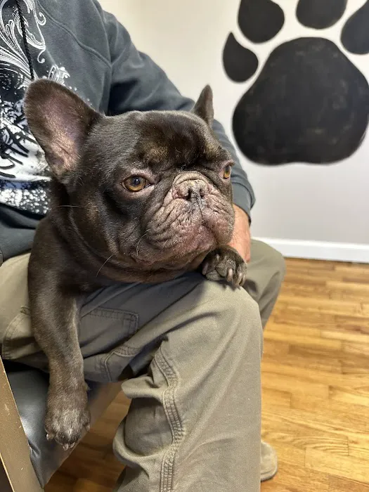 Jasper Veterinary Clinic Picture 5