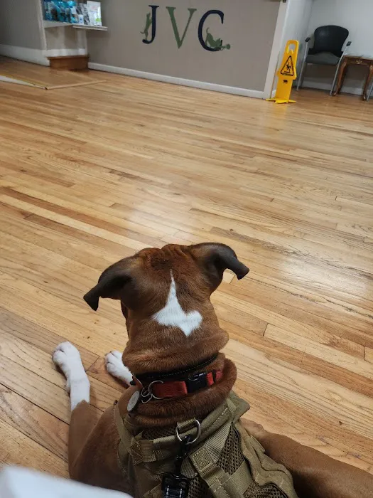 Jasper Veterinary Clinic Picture 4