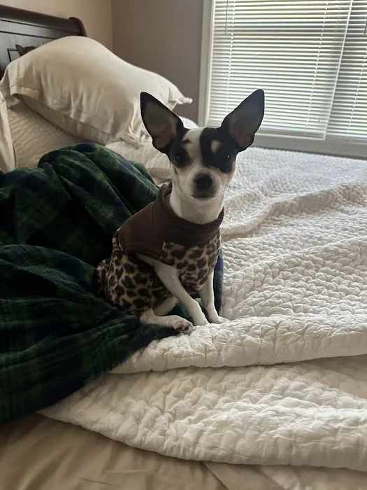 Jasper Veterinary Clinic Picture 2