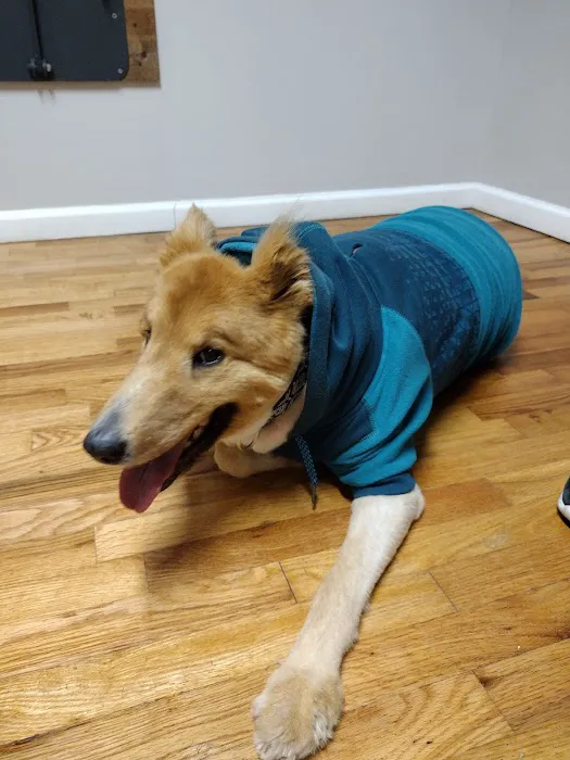 Jasper Veterinary Clinic Picture 1