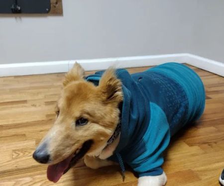 Jasper Veterinary Clinic