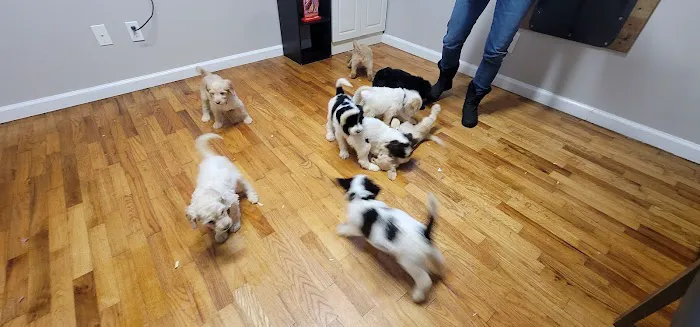 Jasper Veterinary Clinic Picture 3