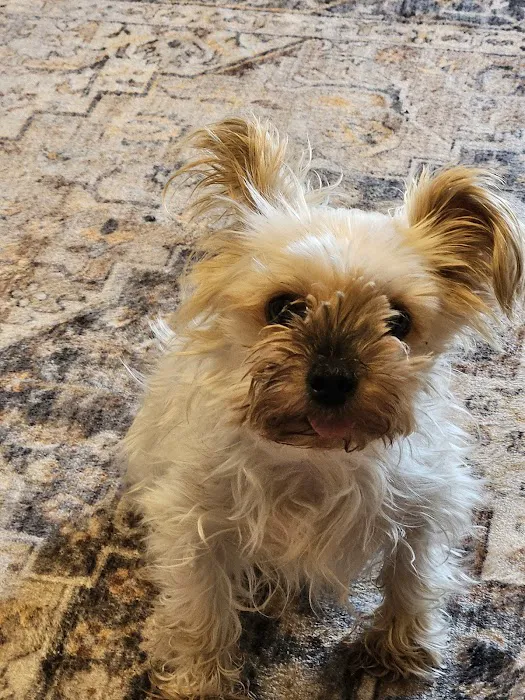 Jasper Veterinary Clinic Picture 8