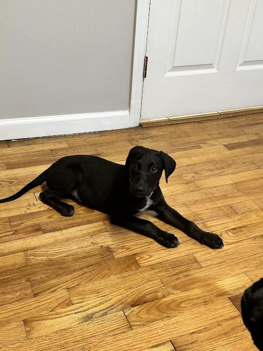 Jasper Veterinary Clinic Picture 9