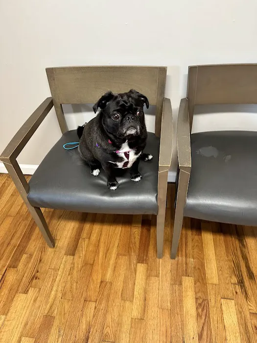 Jasper Veterinary Clinic Picture 6