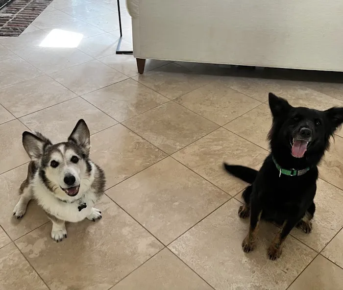 Jasper Veterinary Clinic Picture 7