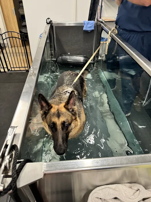 Sound Animal Rehabilitation and Fitness Picture 4