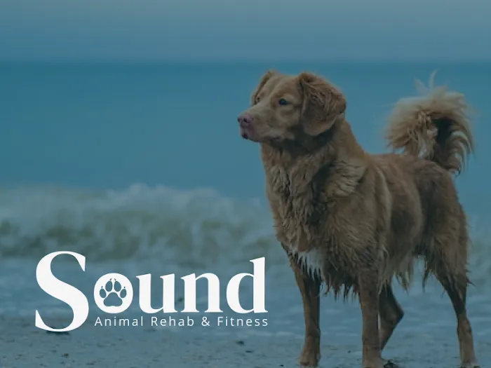 Sound Animal Rehabilitation and Fitness Picture 9