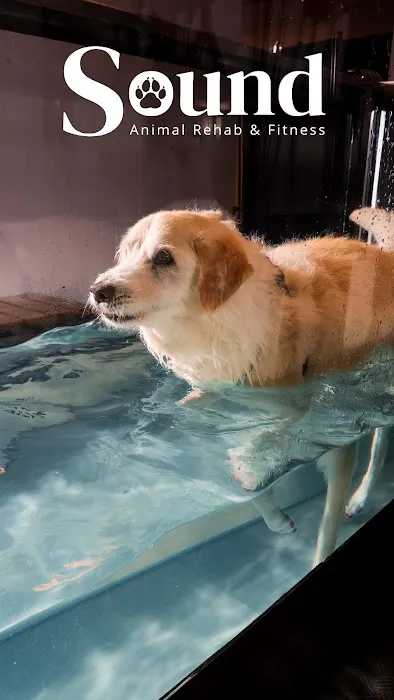 Sound Animal Rehabilitation and Fitness Picture 8